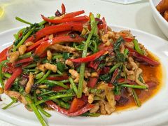 红椒香菜肉丝-乐乐餐厅(湘子庙街店)