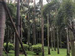 -四海公园(南山区)