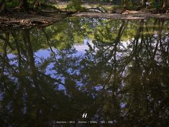 -西溪南古村落
