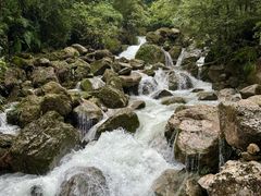 -青城山