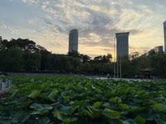-街角等你.大连海鲜烧烤.经典铁板海鲜串(西安路店)
