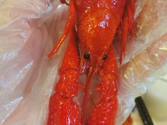 清水龙虾-香满锅老北京羊蝎子火锅·家常菜(新街口店)