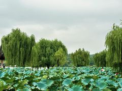 -石湖景区