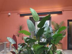 -Manner Coffee(滴水湖店)