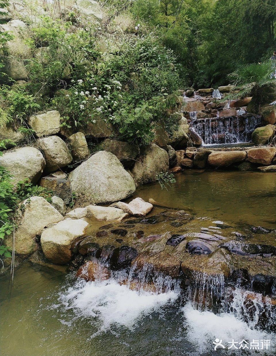 广德桃花山游记