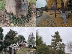 -凤城河风景区