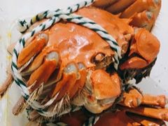 阳澄湖大闸蟹-蟹天蟹地农家菜·阳澄湖大闸蟹(浅水湾店)