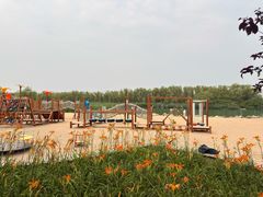 -大兴滨河森林公园