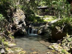 -天女山森林公园