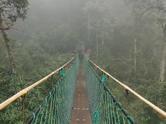 -云南屏边大围山国家公园