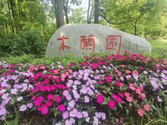 -上海滨江森林公园