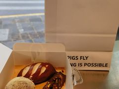 -WHEN PIGS FLY当猪飞