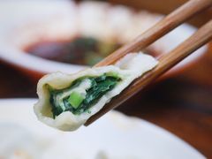 韭菜猪肉-山东水饺(南坪新街店)