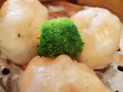 -彩丰楼中餐厅·早茶·点心·粤菜(海口华彩洲际酒店)