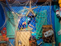 -多彩贵州城极地海洋世界