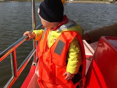 -杭州湾海上花田景区