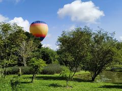 -中国科学院西双版纳热带植物园