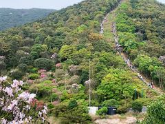 -梧桐山风景名胜区