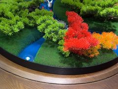 -永安水煮活鱼·仪征土菜院子