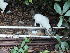 -全家便利店(愚园店)