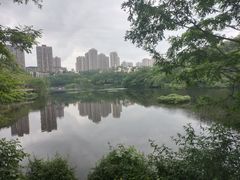 -重庆彩云湖湿地公园