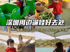 -盈香心动乐园