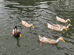 -白塘生态植物园