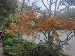-秋霞圃