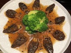 -滇野云南野生菌餐厅(陕西南路店)
