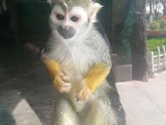 -西安秦岭野生动物园