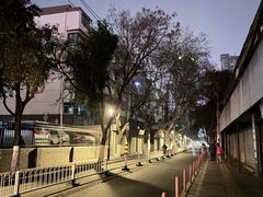 -阿拉丁新疆风味餐厅·清真(罗廊巷店)