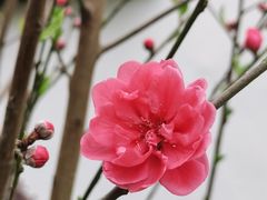 -乌山风景区
