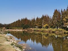 -上海长兴岛郊野公园