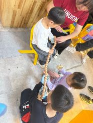 -神奇动物撸宠馆·羊驼·小浣熊·异宠(豫园店)