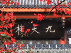 -塔子山公园