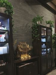 -iSpa