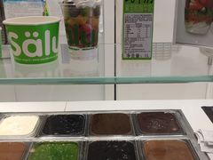 零售区-Salud撒露欧洲冻酸奶(蓝色港湾店)