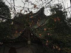 -武汉大学-樱园