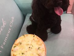 -百好乐宠物友好餐厅(朝外大街店)