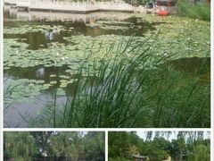 -文瀛公园