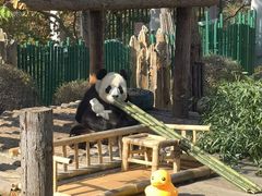 -大连森林动物园