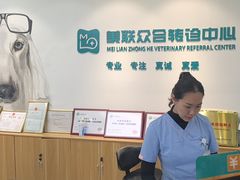 -美联众合动物医院·24h转诊中心