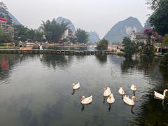 -靖西鹅泉风景区