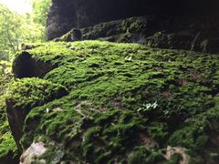 -千岛湖王子谷漂流