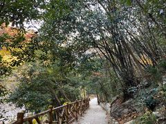 -燕子河大峡谷天坑仙境