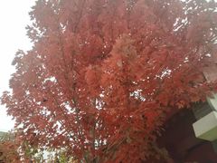 -西宁市人民公园(城西区)