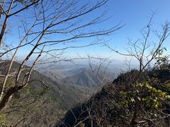 -天目山大树王景区