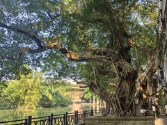 -小洲村