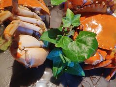 -东富酒家(龙湖西溪天街店)