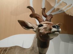 -陕西自然博物馆